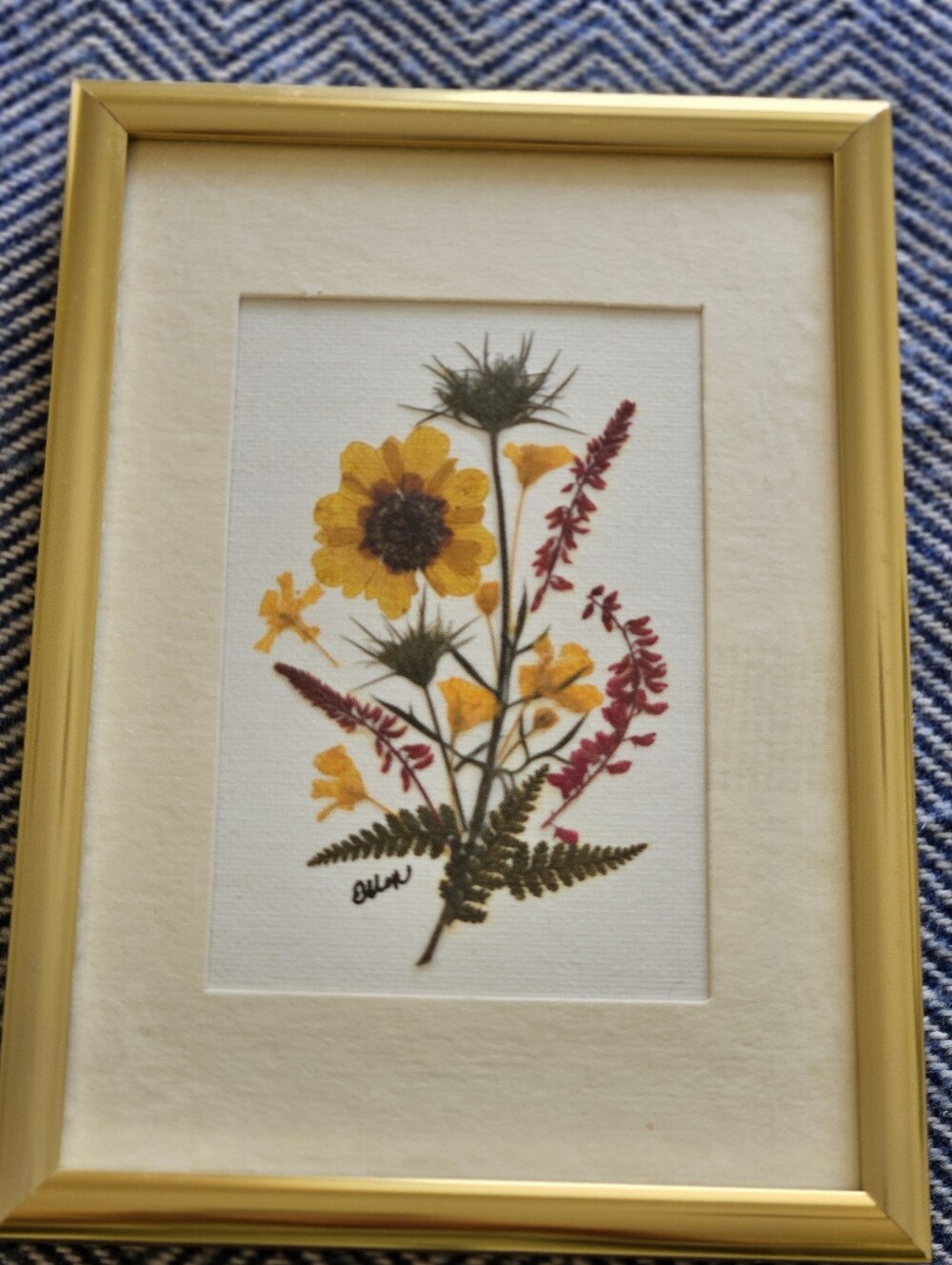 Pressed Wildflower Art in Gold Metal Frame - Yellow & Pink Floral